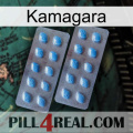 Kamagara viagra4